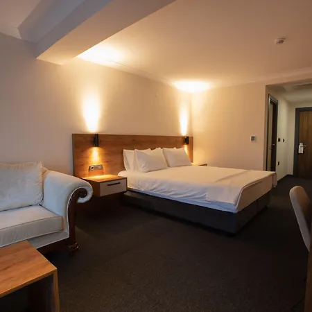 Valent Business 酒店 阿克恰伊