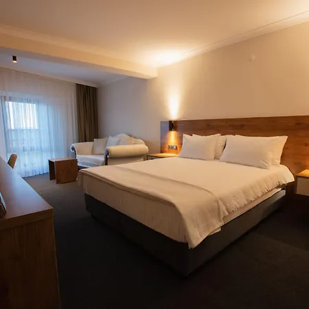 酒店 Valent Business